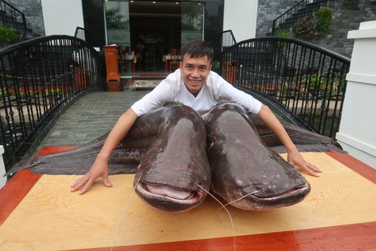 dai-gia-bac-ninh-dat-o-to-cho-cap-ca-leo-khong-lo-nang-hon-ta-mua-tu-campuchia
