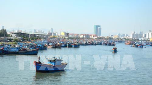 chinh-phu-co-nhieu-chinh-sach-ho-tro-ngu-dan-danh-bat-hai-san-o-vung-bien-nuoc-ngoai