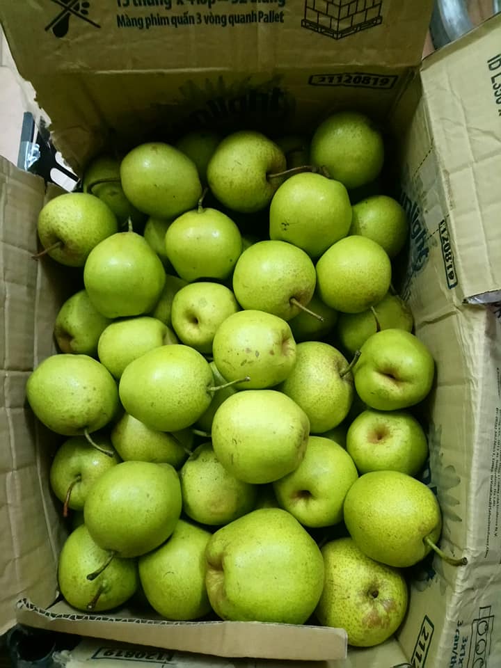 le-ha-giang-ngot-nuoc-hut-khach-ba-noi-tro-chi-tien-trieu-mua-ca-thung-30kg
