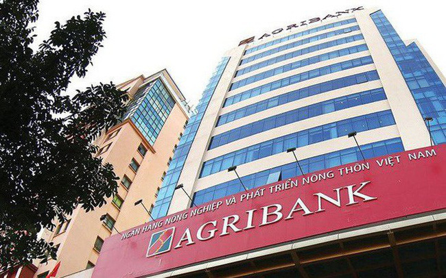 9-manh-dat-no-xau-tai-tphcm-dang-duoc-agribank-rao-ban-gia-khung-hon-300-trieu-dong