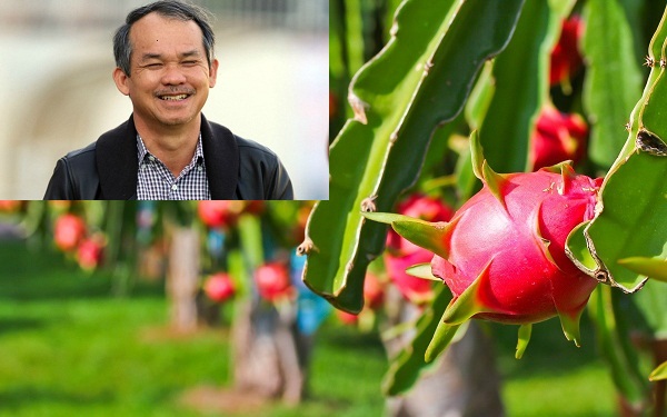 dau-dau-hon-le-phuoc-vu-bau-duc-dang-ngup-lan-trong-khoan-no-khung-gan-60-nghin-ty