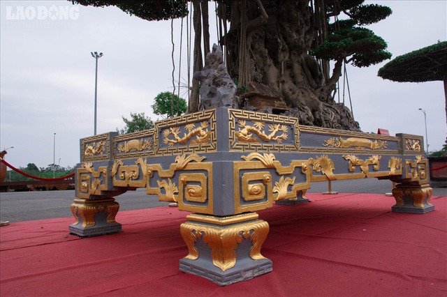 xon-xao-cay-canh-gia-10-ty-dat-5-luong-vang-quanh-chau-cua-dai-gia-viet