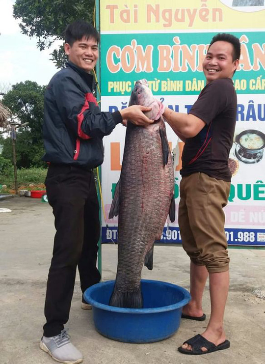 thanh-hoa-do-xo-di-xem-ca-tram-nang-khung-33kg-ban-ngay-gan-chuc-trieu