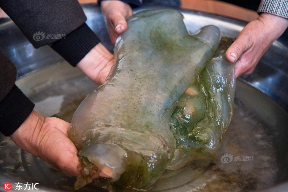 tim-thay-vat-the-la-3kg-bay-nhay-o-cong-truong-kinh-ngac-la-bau-vat-hon-31-ty-dong