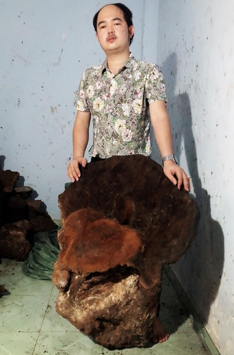 quang-nam-di-rung-tim-thay-cay-nam-khung-70kg-dai-gia-tra-gia-60-trieu-chua-ban