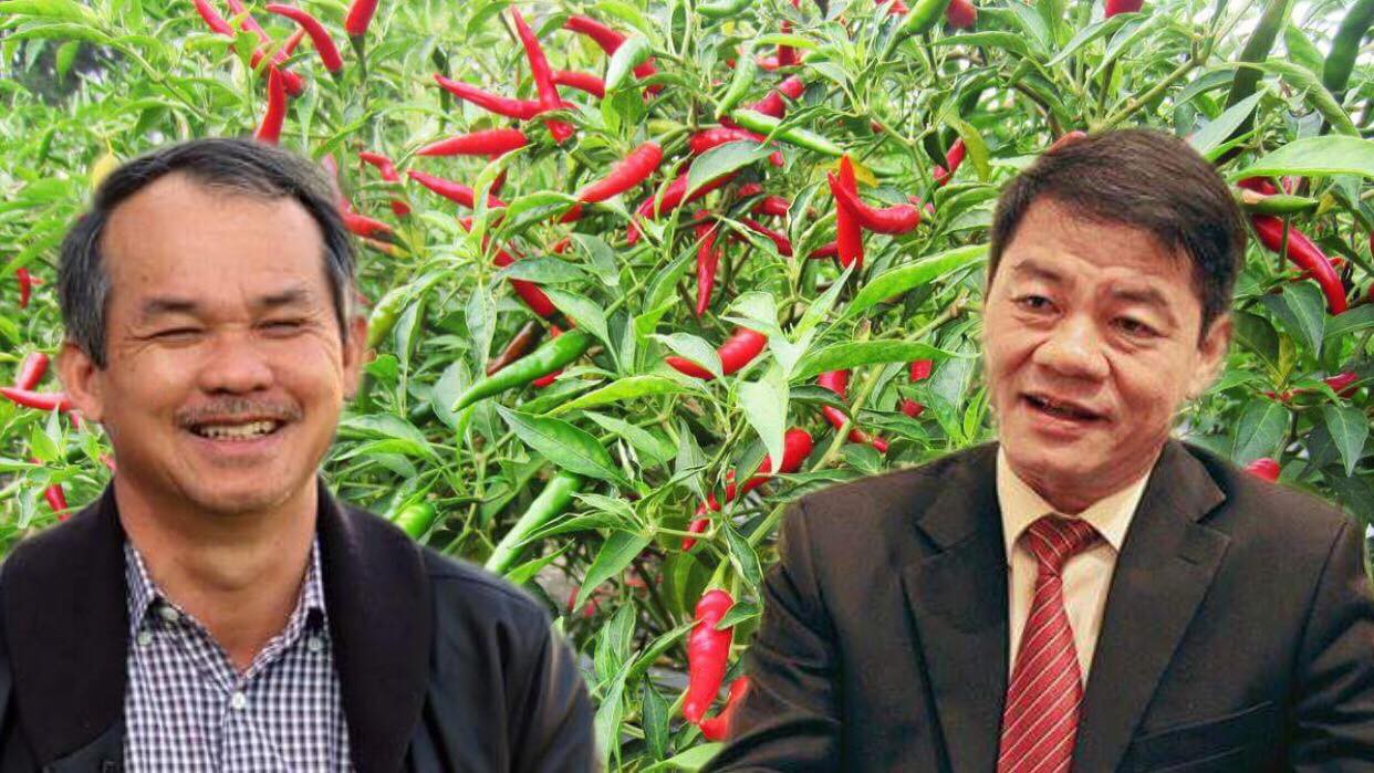 chi-hon-600-ty-dong-dai-gia-vuot-thaco-thanh-co-dong-lon-o-cong-ty-bau-duc-la-ai
