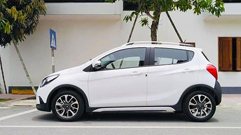 xon-xao-o-to-vinfast-hon-300-trieu-dong-lo-dien-176-den-tay-khach-hang-viet