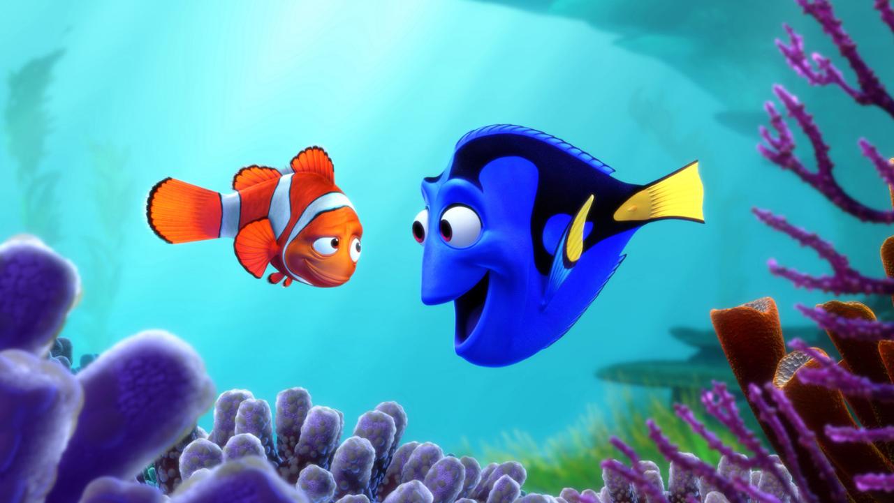 Dù vậy, giới phê bình lẫn khán giả đánh giá cao Đi tìm Dory không chỉ vì cốt truyện thú vị hay các chi tiết gây cười, sức hấp dẫn của phim còn toát lên từ những thông điệp cuộc sống ý nghĩa mà nó truyền tải. 