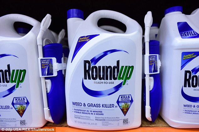 Thuốc diệt cỏ glyphosate được sử dụng phổ biến tr&ecirc;n Thế giới