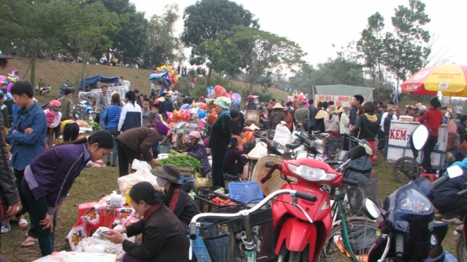 thuốc rởm, chữa bệnh, thuốc nam, thuốc diệt c&ocirc;n tr&ugrave;ng, lừa đảo