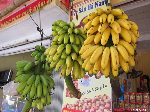 Chuối ngự Đại Ho&agrave;ng - đặc sản ng&agrave;y Tết nổi danh chỉ c&oacute; duy nhất ở qu&ecirc; hương &ldquo;Ch&iacute; Ph&egrave;o&rdquo;