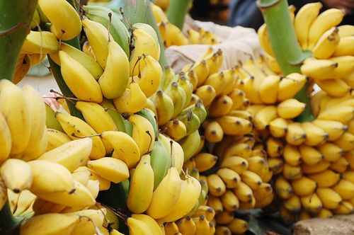 Chuối ngự Đại Ho&agrave;ng l&agrave; một m&oacute;n đặc sản ng&agrave;y Tết thấm đượm hương vị l&agrave;ng qu&ecirc; Việt Nam