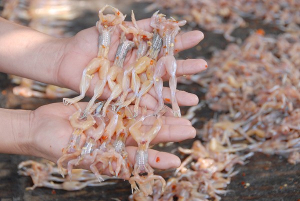 Đặc sản &ldquo;vũ nữ ch&acirc;n d&agrave;i&rdquo; đang rất h&uacute;t h&agrave;ng dịp Tết năm nay