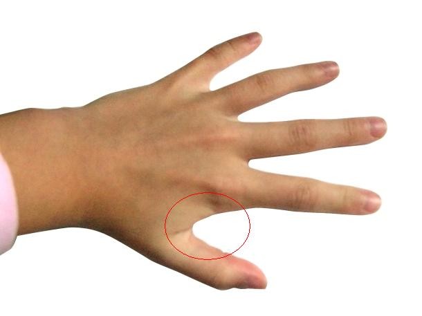 Nếu bị đau răng hãy dùng một viên đá lạnh và chà lên vùng da giữa ngón tay cái và ngón tay trỏ. Mẹo vặt này sẽ giúp bạn giảm đau một cách hiệu quả.