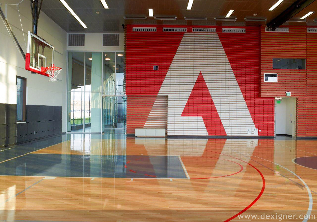 adobe6