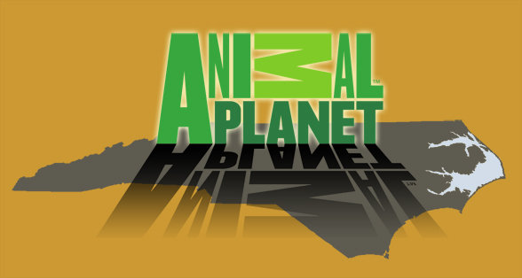animalplanet