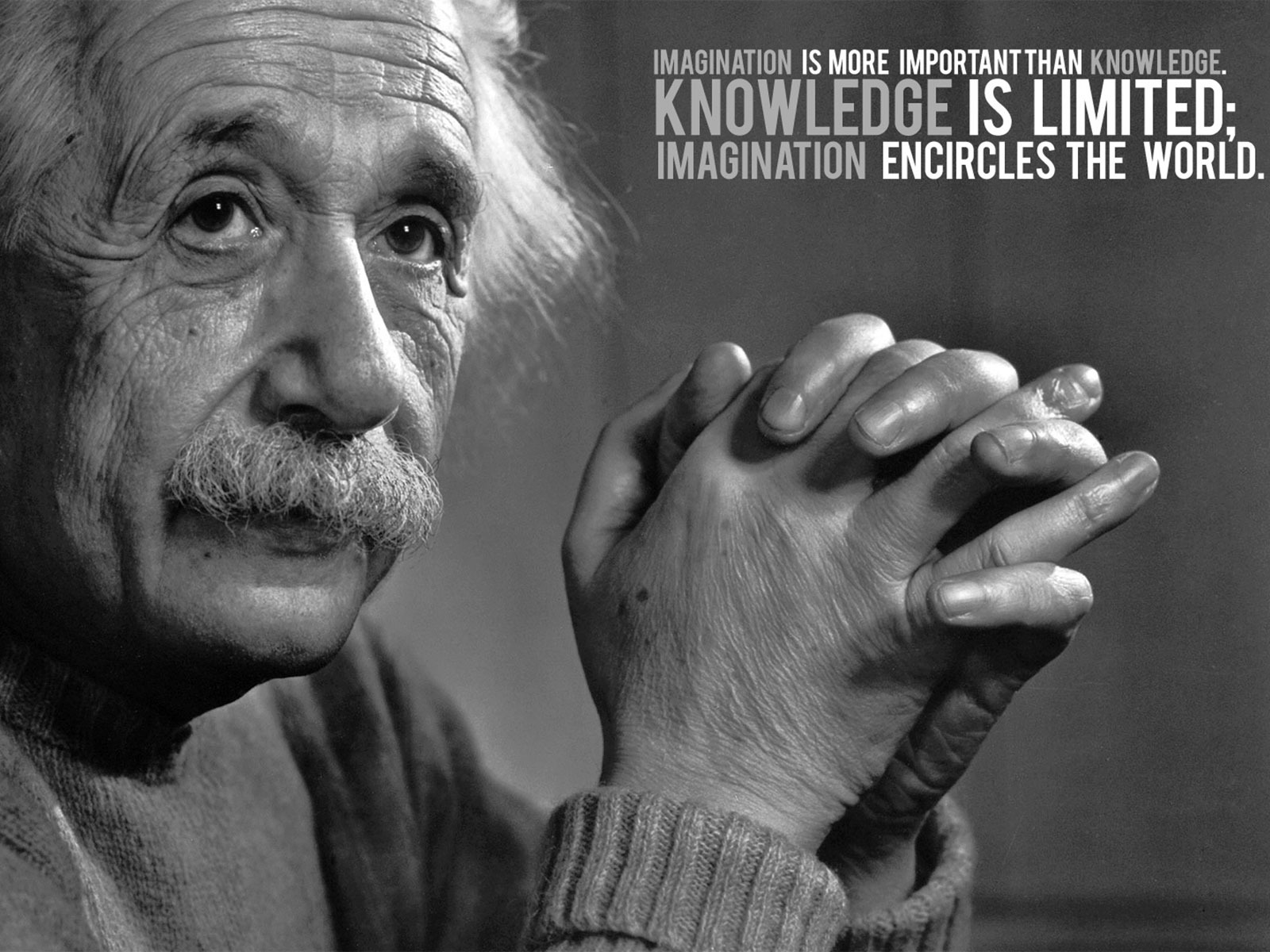 Ph&aacute;t ng&ocirc;n của b&aacute;c học Albert Einstein
