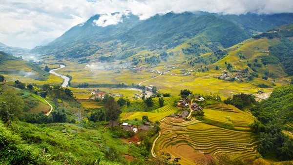 ruongbacthang