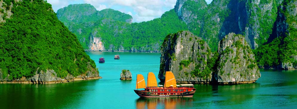 vinhhalong