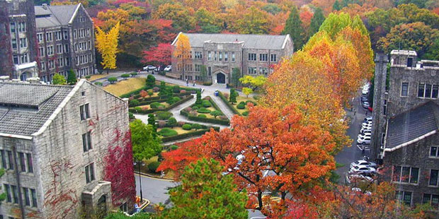 Đại học Yonsei