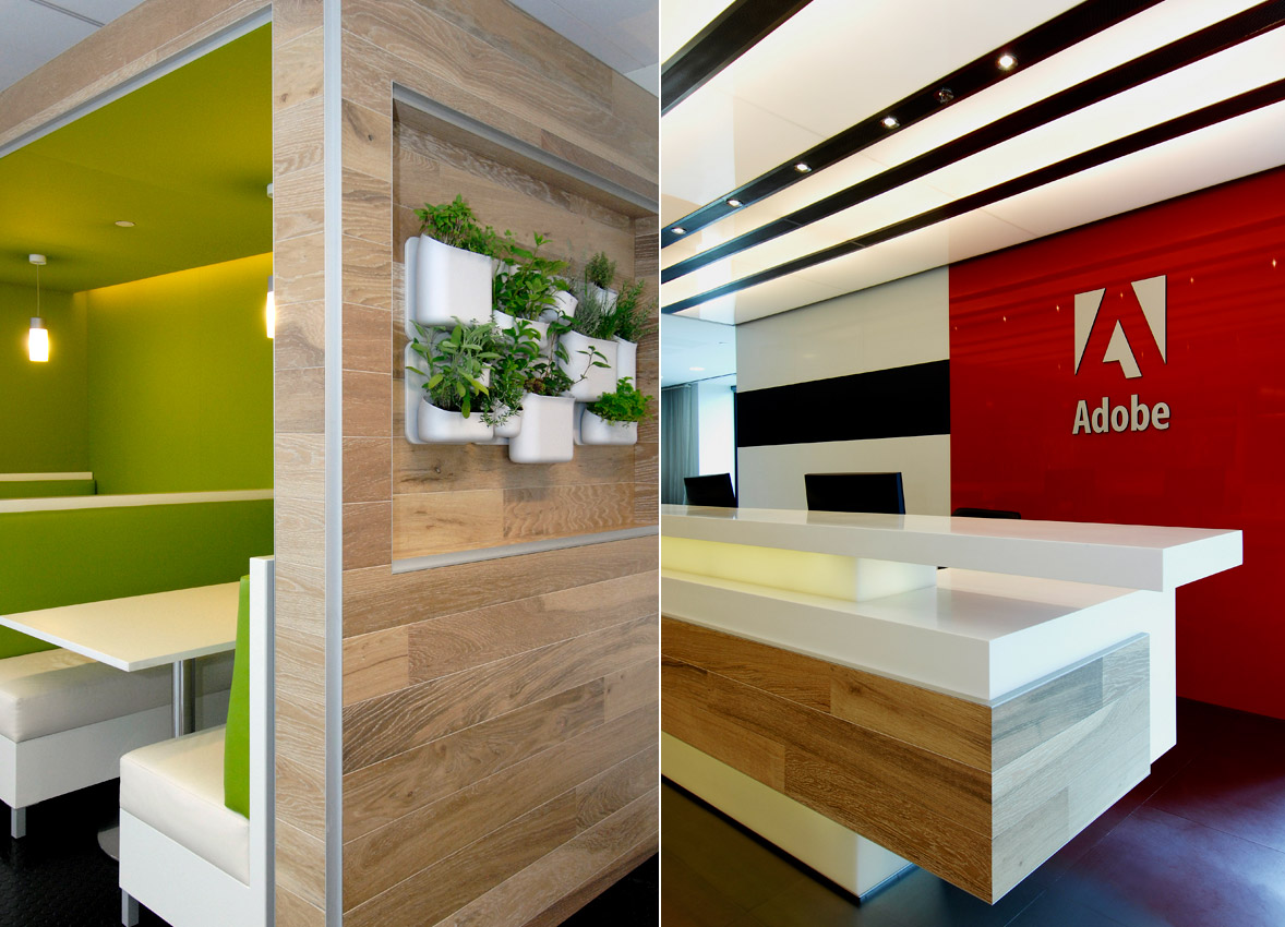 adobe3
