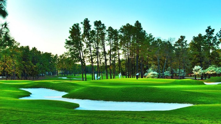 s&acirc;n golf ti&ecirc;u chuẩn quốc tế