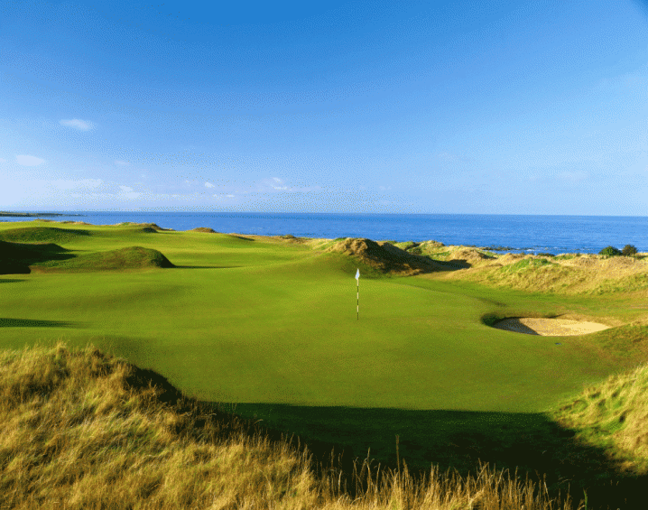 s&acirc;n golf ti&ecirc;u chuẩn quốc tế