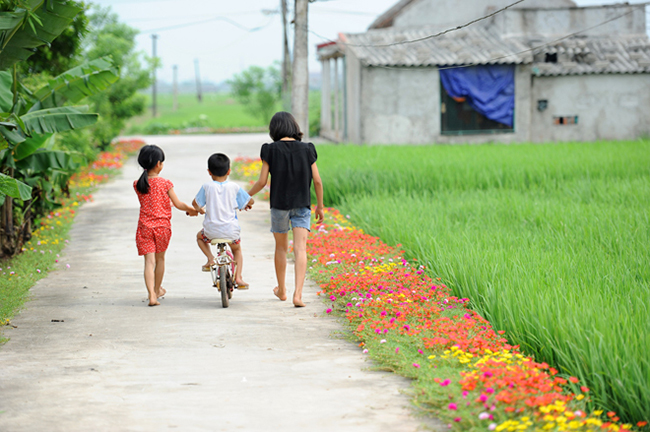Ảnh: Dương Triều/ Vnexpress