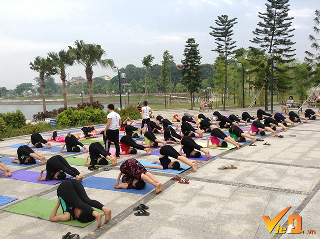 Tư thế Cái cày giúp trị liệu các chứng bệnh: Hen suyễn, suy thoái nhẹ; có tác dụng giúp thư giãn bình tĩnh, kích thích các cơ quan bụng và tuyến tuyến giáp, khỏe cơ vai và cột sống, giúp làm giảm các triệu chứng của mãn kinh, giảm căng thẳng và mệt mỏi, trị liệu cho đau lưng, nhức đầu, vô sinh, mất ngủ, viêm xoang…