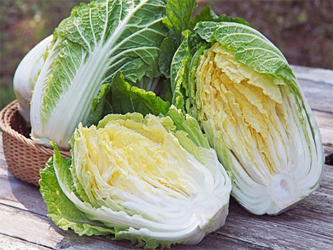Bắp cải, cải thảo Trung Quốc rất tròn và mượt, không bị nhàu, xước, đầu búp uốn vào không bị xoăn. Các rau cải làn, cải thìa, hành, thìa là, rau thơm... chủ yếu đều bó bằng nhiều sợi rơm chập vào nhau và xoắn. Rau cải mớ thường tròn, lá ngắn hơn rau của ta.