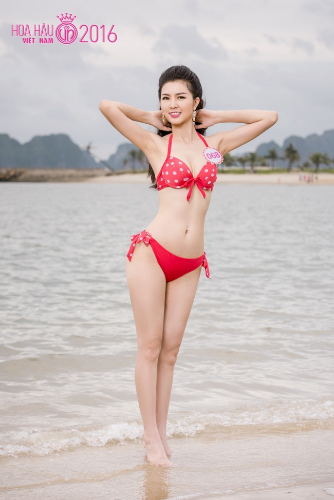 Vũ Thị Vân Anh. Vũ Thị Vân Anh.