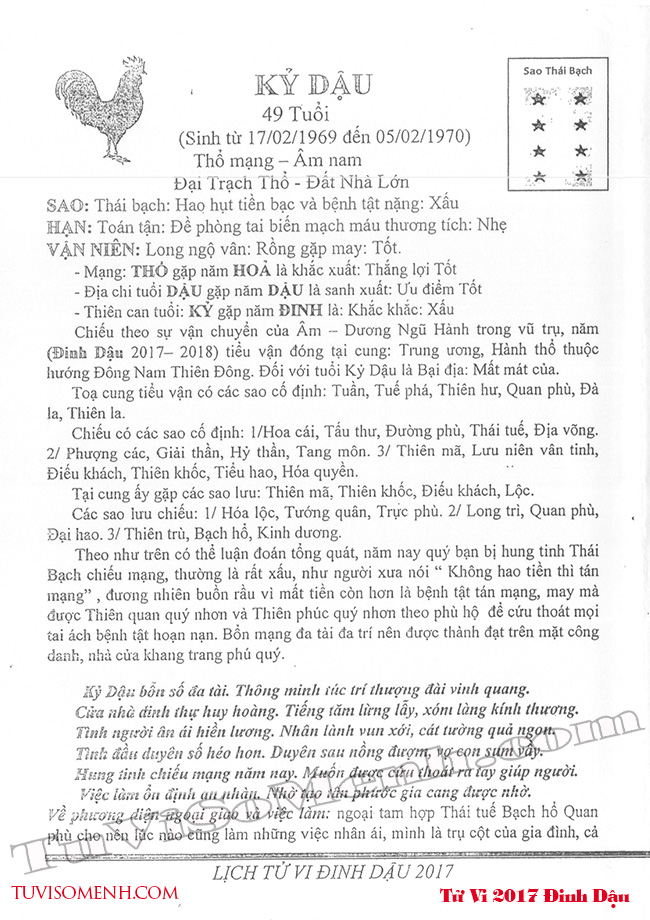 Chi tiết vận mệnh c&aacute;c tuổi Dậu trong năm tuổi 2017