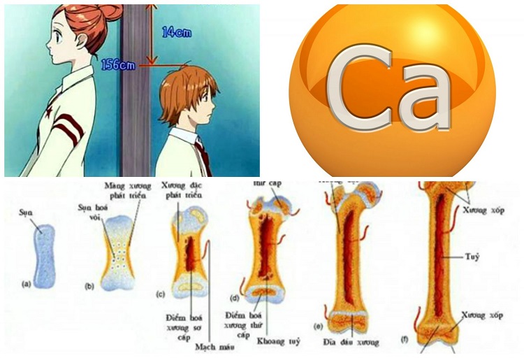 Ti&ecirc;m hormone tăng chiều cao c&oacute; thể đem lại hậu quả kh&oacute; lường