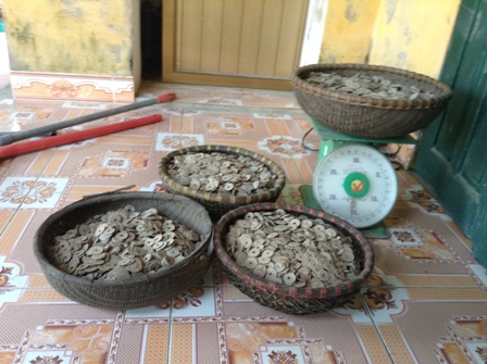50kg tiền cổ được t&igrave;m thấy khi đang l&agrave;m m&oacute;ng bể chứa nước mưa
