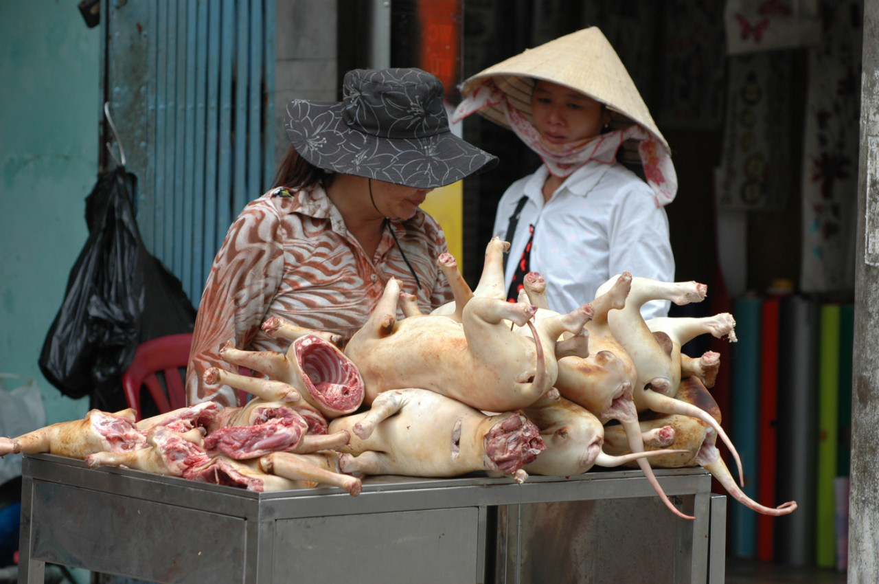 Thịt ch&oacute; được b&agrave;y b&aacute;n ở bất cứ đ&acirc;u, v&agrave; chủ yếu kh&ocirc;ng c&oacute; bảo quản