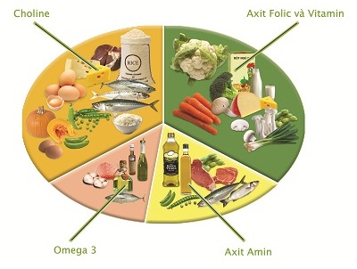 ti&ecirc;́p sức dinh dưỡng mùa thi