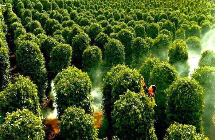 Ti&ecirc;u sẽ được th&iacute; điểm x&acirc;y dựng chỉ dẫn địa l&yacute;