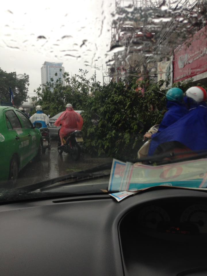 Ngã tư Cầu Giấy sáng nay cũng tắc đường do cây đổ chắn ngang đường.