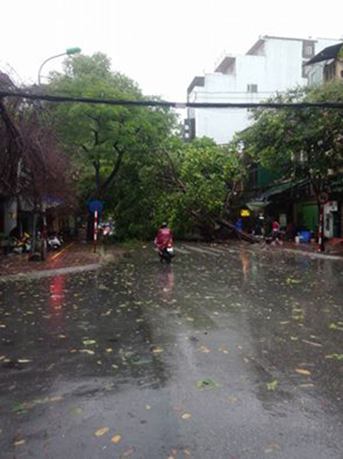 Đường Tô Hiến Thành trong sáng nay ở Hà Nội.