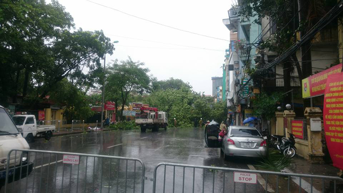 Cây đổ trên đường Ngọc Hà buộc các phương tiện tham gia giao thông phải tránh xa, đi đường khác.
