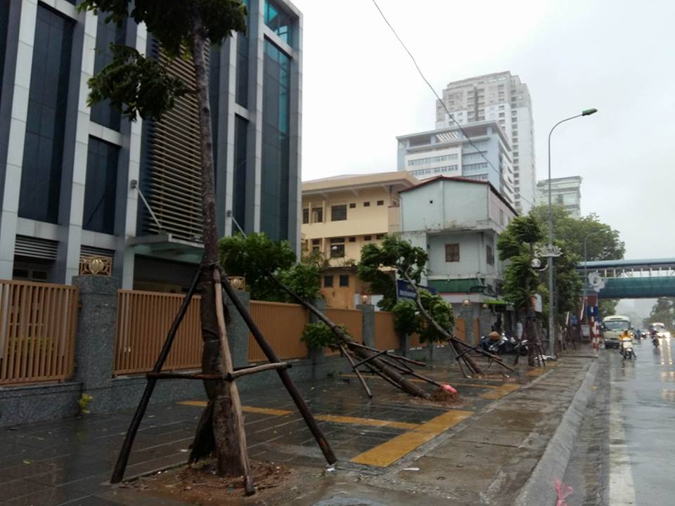 Người đi đường tại nhiều điểm bị gió thổi tung mũ, hàng chở trên xe và thậm chí bị xô ngã...