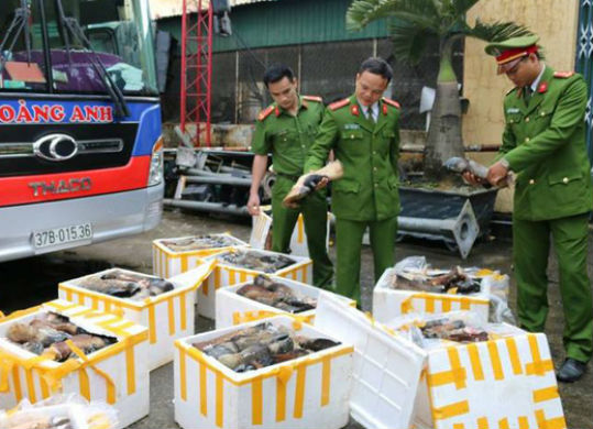 da-nang-chan-duoi-bo-boc-mui-hoi-thoi-suyt-tuon-vao-thi-truong-tieu-thu