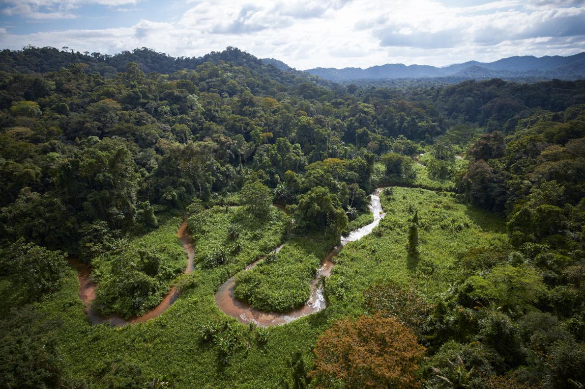 Tin khoa học trên kênh National Geographic cho hay dấu vết của Thành Phố Trắng đã được tìm thấy trong rừng rậm Tin khoa học trên kênh National Geographic cho hay dấu vết của Thành Phố Trắng đã được tìm thấy trong rừng rậm