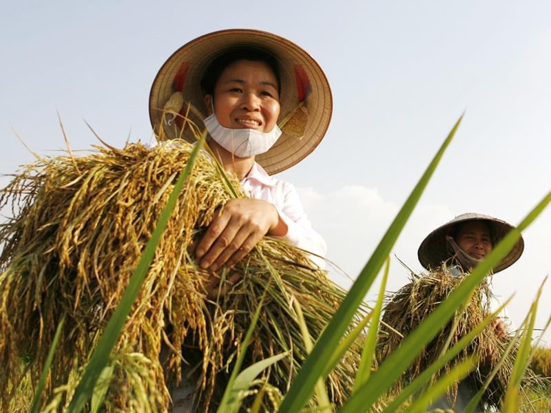 Diễn đ&agrave;n ASOCIO 2014 l&agrave; điểm nhấn trong số những tin tức khoa học c&ocirc;ng nghệ mới nhất h&ocirc;m nay ng&agrave;y 29/10