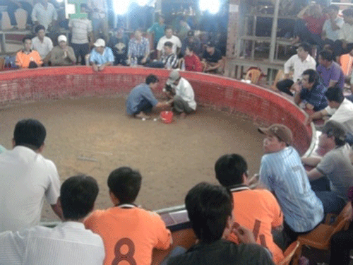 M&acirc;u thuẫn xảy ra trong l&uacute;c đ&aacute; g&agrave; đ&atilde; dẫn tới cuộc hỗn chiến khiến 1 người chết sau đ&oacute;