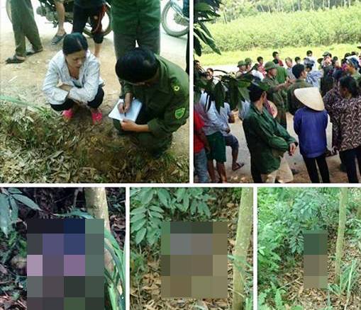 Khu vực người d&acirc;n ph&aacute;t hiện thi thể b&eacute; g&aacute;i bị vứt trong bụi tre rậm rạp