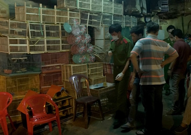 Trong những tin ph&aacute;p luật online mới nhất h&ocirc;m nay c&oacute; vụ chủ tiệm chim bị kh&aacute;c đ&acirc;m chết
