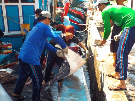 Ngư d&acirc;n Kh&aacute;nh H&ograve;a nhập c&aacute; qua cảng sau khi trở về từ ngư trường Nh&agrave; gi&agrave;n DK1, Trường Sa...