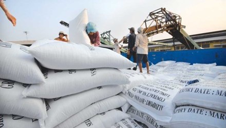 Việt Nam tr&uacute;ng thầu b&aacute;n 1 triệu tấn gạo