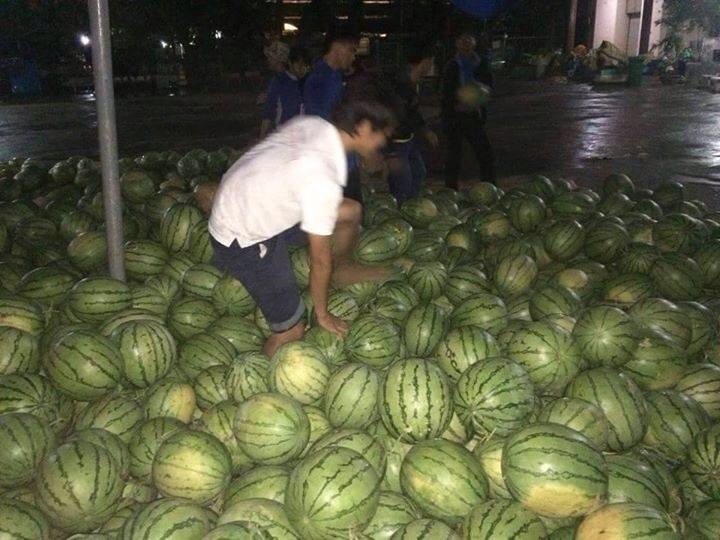 Tin tức mới cập nhật h&ocirc;m nay cho biết N&ocirc;ng d&acirc;n Quảng Ng&atilde;i gọi điện cầu cứu Ban Tuy&ecirc;n gi&aacute;o